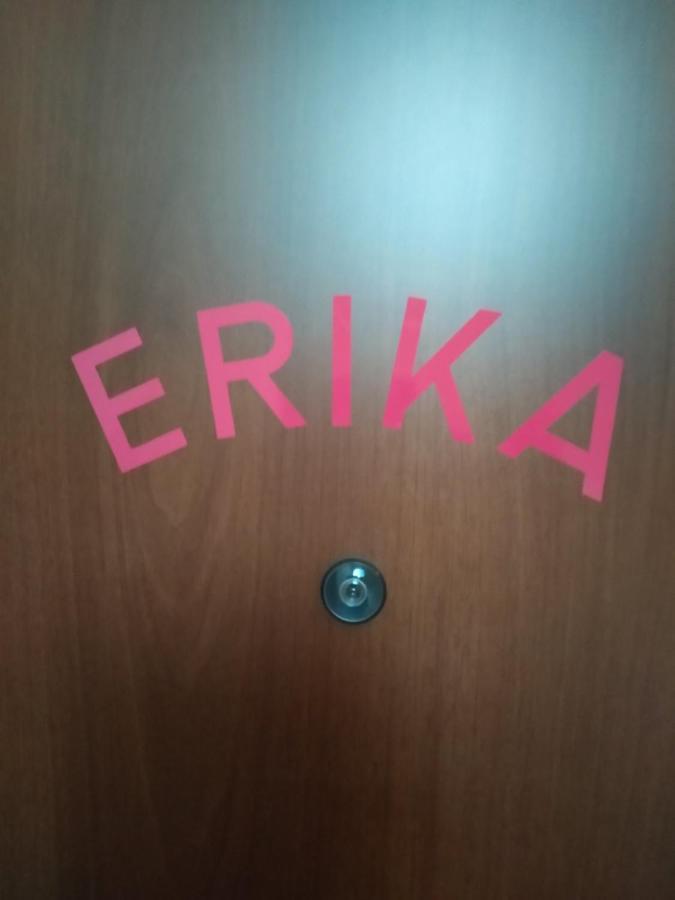 Studio apartman Erika Ližnjan Exteriör bild